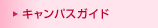 �L�����p�X�K�C�h