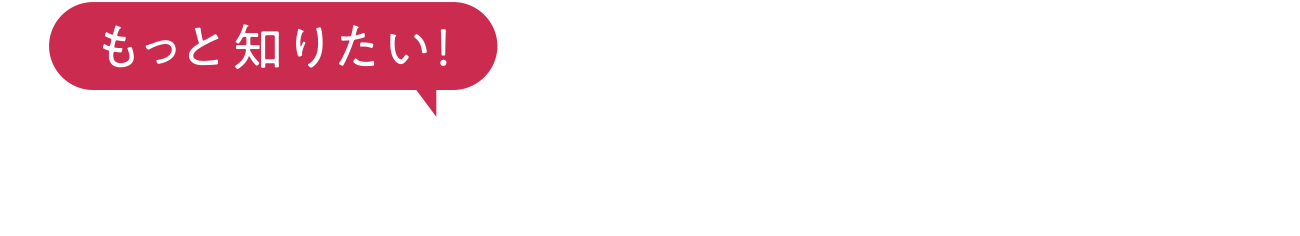 もっと知りたい！ 文芸文化学科